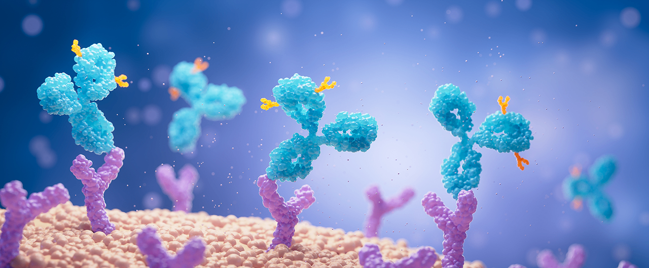 Multispecific Antibodies Cancer Cell.png