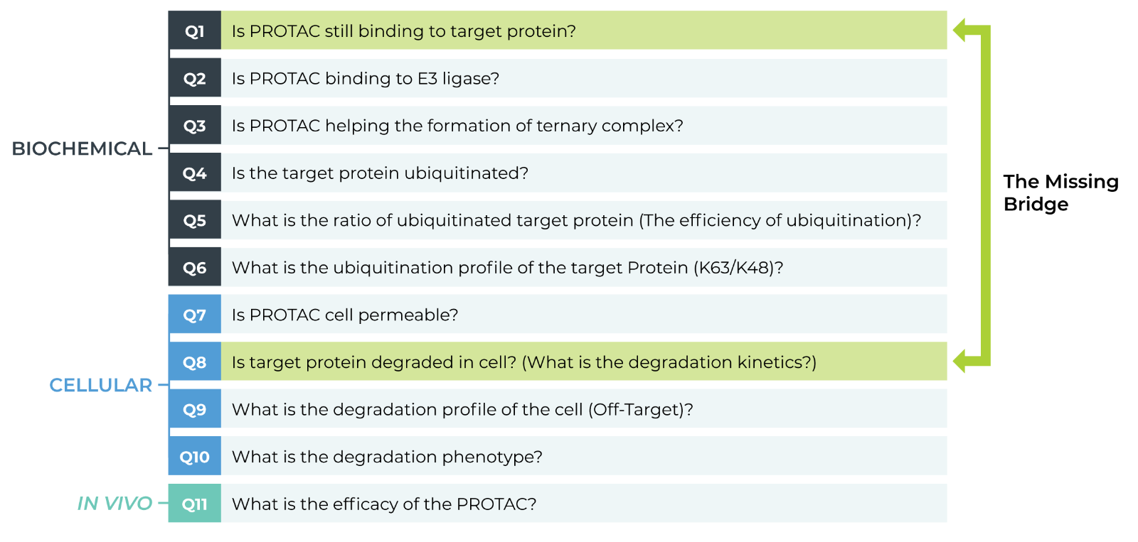 Missing-bridge_final 2.png