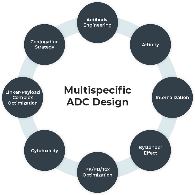 Multispecific-ADC-Design.png