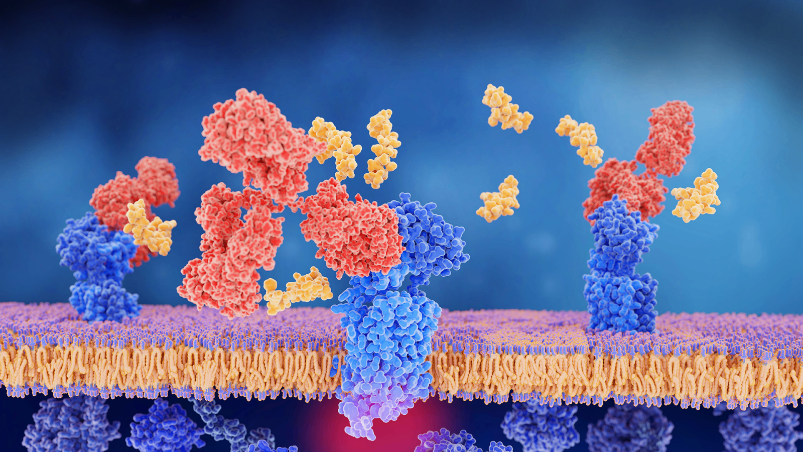 ADC at tumor site.png