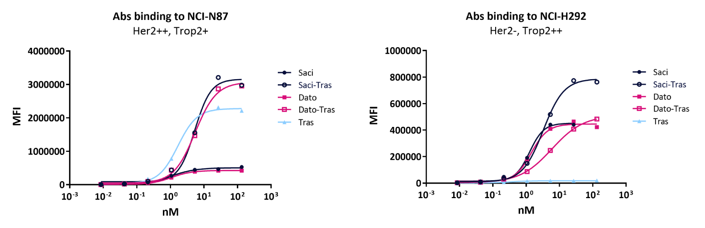 Cell Binding NCI-N87 and CCL-H292.png