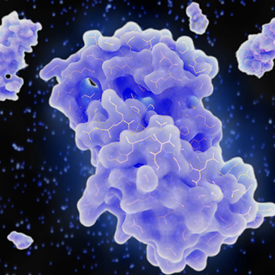 Spotlight on Psoriasis – Advanced IL-23 Inhibitor Preclinical Screening Assays for Better Outcomes for Patients