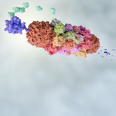 Targeted Protein Degradation: Bridging the Gap in PROTAC Development