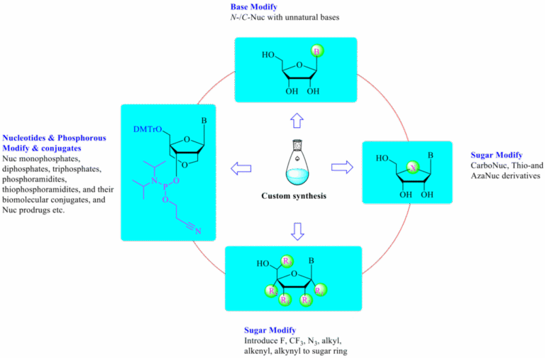 Nucleic Acid Chemistry - ChemPartner