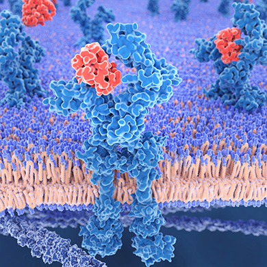 Unlocking New Targets: Cytokine Receptor Platform for Immunology Innovation