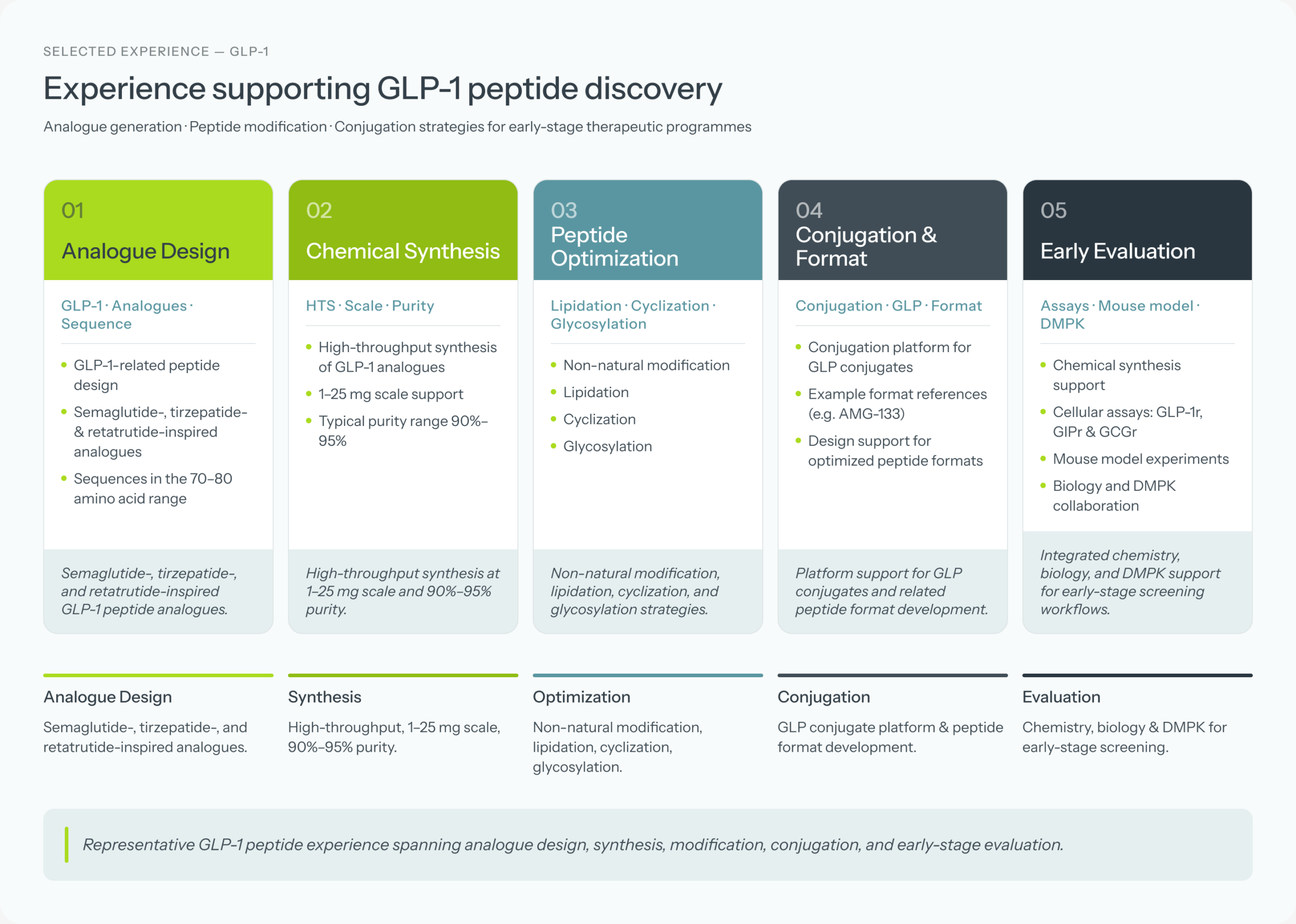 GLP-1 peptide discovery workflow from analogue design to early evaluation