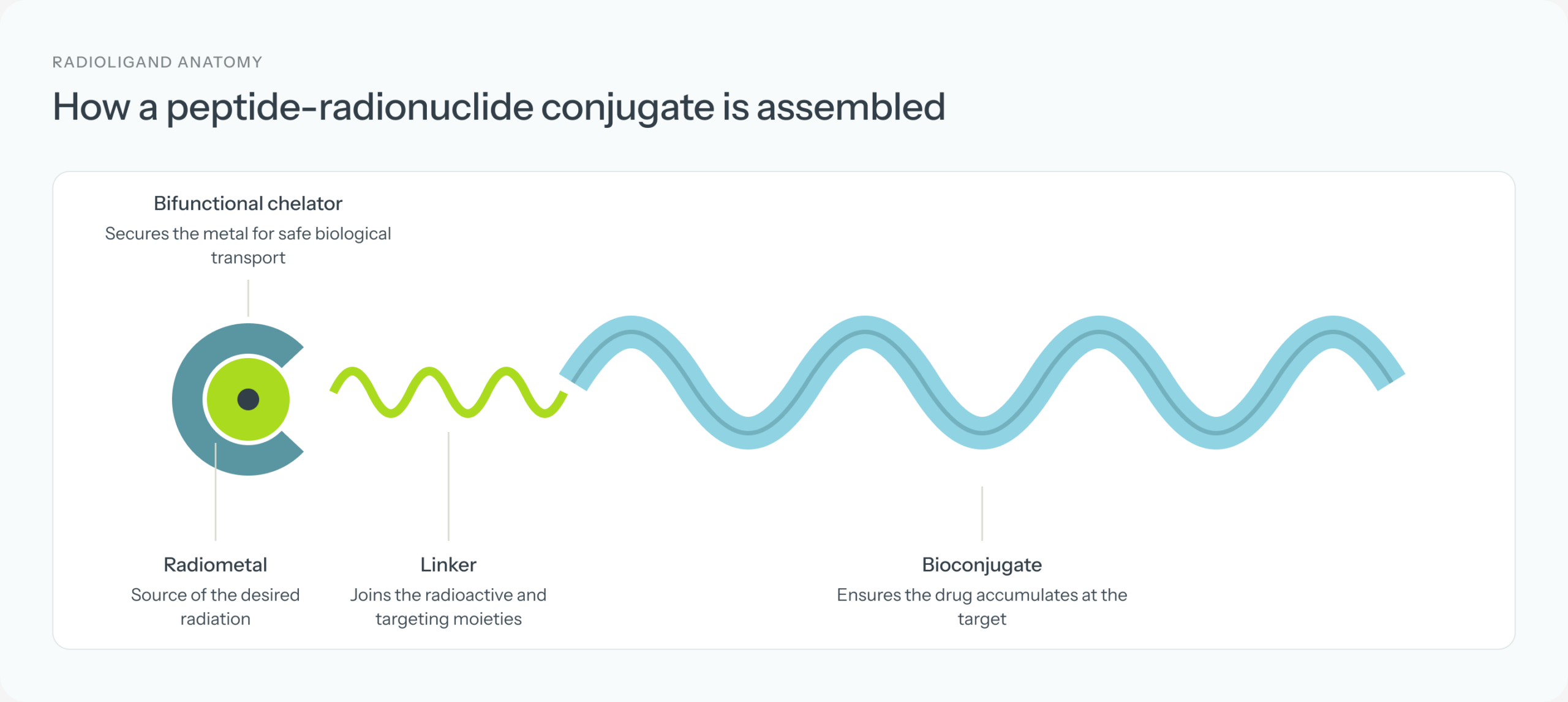How a peptide-radionuclide conjugate is assembled: radiometal, bifunctional chelator, linker and bioconjugate